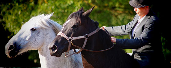 Ikel la co-gérante à cheval en spectacle